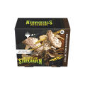 MTG Secrets of Strixhaven Collector Booster Box